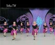 杨艺广场舞走天涯
