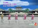 杨艺广场舞梅花三弄