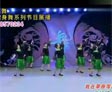 杨艺广场舞我在草原等你来