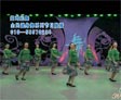 杨艺广场舞草原绿了
