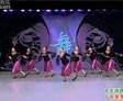 杨艺广场舞开车游西藏