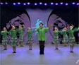 杨艺广场舞绿色青鸟
