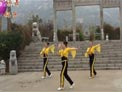 刘荣广场舞纳西情歌下载