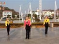 刘荣广场舞茶香中国下载