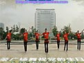 刘荣广场舞歌在飞下载