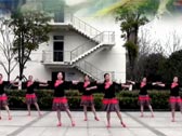 刘荣广场舞神秘的地方下载