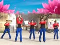 刘荣广场舞习大大爱着彭麻麻下载