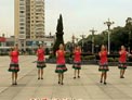 高安子君广场舞草原一枝花