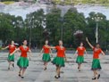 高安子君广场舞草原上的山杏花