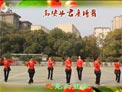 高安子君广场舞又见山里红