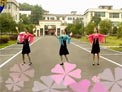 高安子君广场舞真的不容易