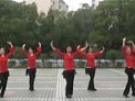高安子君广场舞草原绿了