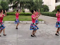 高安子君广场舞金色牧场
