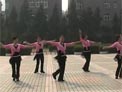 高安子君广场舞游牧故乡