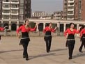 高安子君广场舞我是你的草还是你的宝