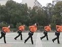 高安子君广场舞天下牧草