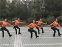 高安子君广场舞黄山黄梅