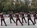 高安子君广场舞扭一下