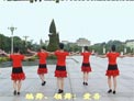 高安子君广场舞幸福二口子
