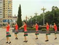 高安子君广场舞梦见你的那一夜