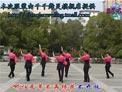 高安子君广场舞绿叶
