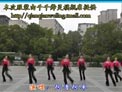 高安子君广场舞飞歌醉情怀