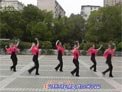高安子君广场舞花儿这样红