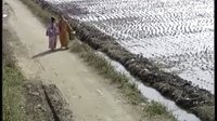 傻仔婿与巧媳妇 第15集