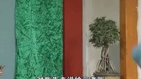 傻仔婿与巧媳妇 第18集