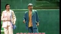 河南豫剧《王家湾的当家人》CD2