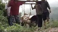 豫剧民间小调《打工泪》1