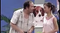 阿拐卖狗