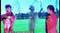 永城市柳琴戏《拾棉花》
