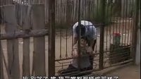 二人转短剧 三女儿拜寿
