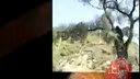 二人转短剧-嗯唉哎咳哟-老八头找死 冯刚岩 