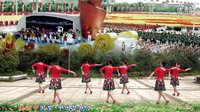春英广场舞美丽中国梦 背面演示及动作分解