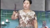 河南坠子徐延忠搬兵 第四部 第9集