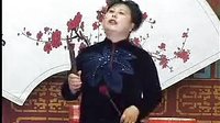 河南坠子徐延忠搬兵 第五部 第8集