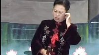 河南坠子徐延忠搬兵 第四部 第1集