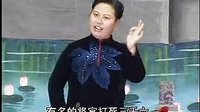 河南坠子徐延忠搬兵 第四部 第5集