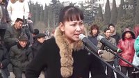 河南坠子胡中花《兰考迎春书会》