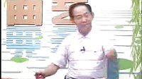 河南传统戏曲大鼓书电视剧《五梅七枪反唐传