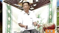 河南传统戏曲大鼓书电视剧《杨兰英告状》第