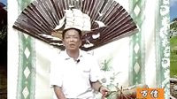 河南传统戏曲大鼓书电视剧《杨兰英告状》第
