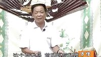 河南传统戏曲大鼓书电视剧《杨兰英告状》第