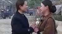 《小白菜泪汪汪》全集-21