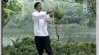 付清泉杨氏太极拳85式（B）