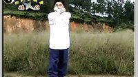 付清泉杨氏太极拳85式（D）