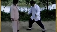 付清泉杨氏太极拳85式（A）