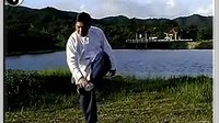 付清泉杨氏太极拳85式(C)